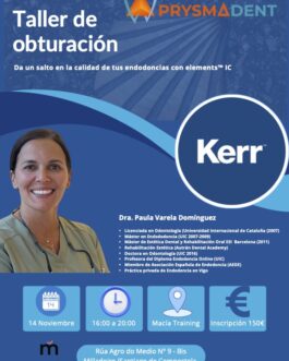 Taller de obturación con Elements IC <fecha>14 de Noviembre de 2025</fecha>